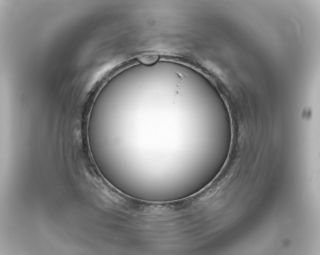 X0000093621307200710291217