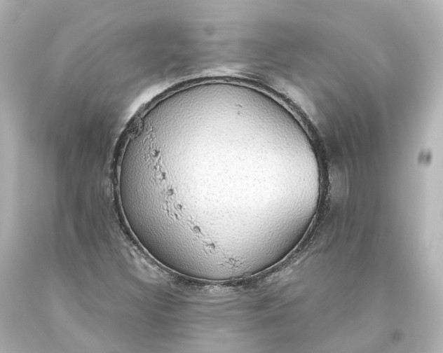 X0000093621308200710291217