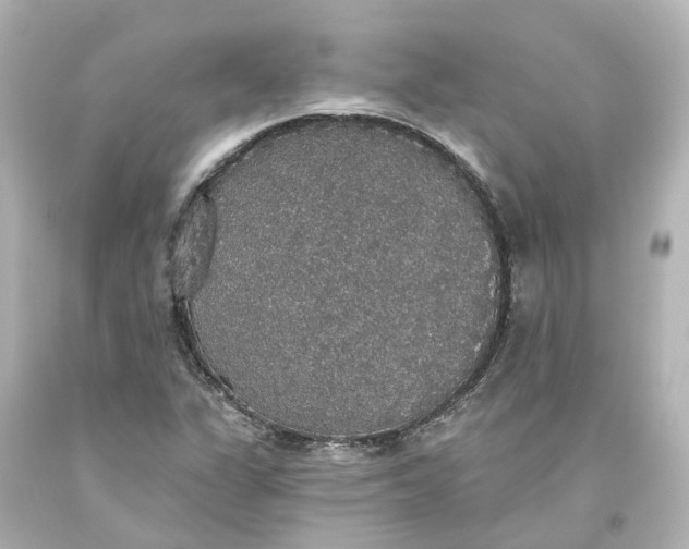 X0000093621311200710291217