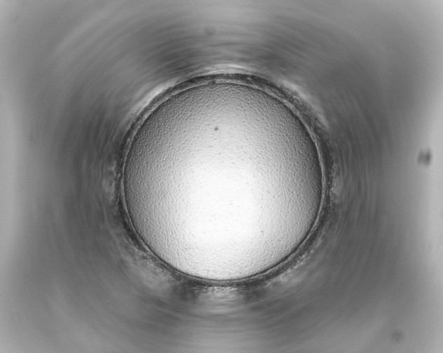 X0000093621313200710291218