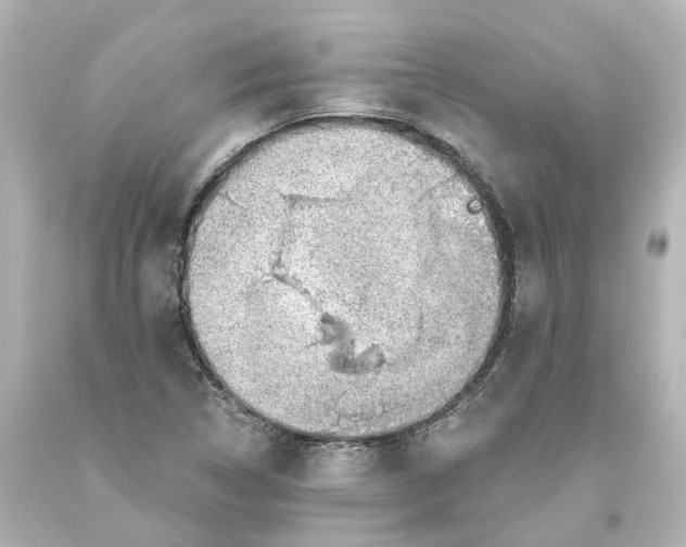 X0000093621314200710291218