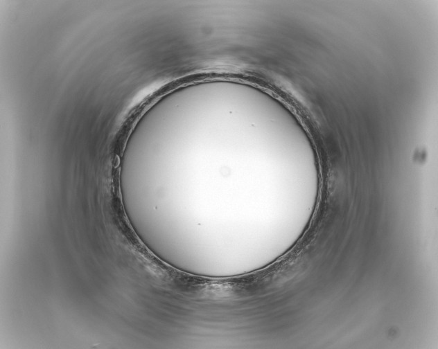 X0000093621315200710291218