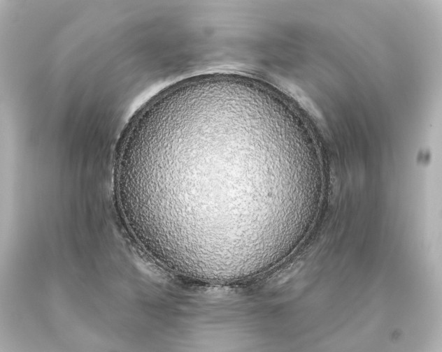 X0000093621316200710291218
