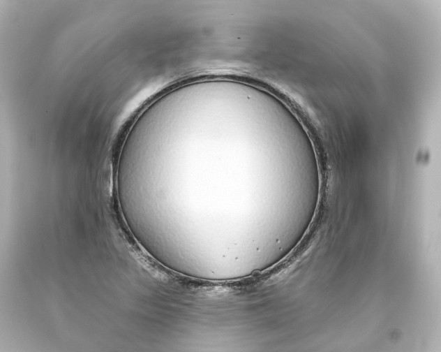 X0000093621317200710291218
