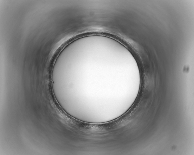 X0000093621318200710291218