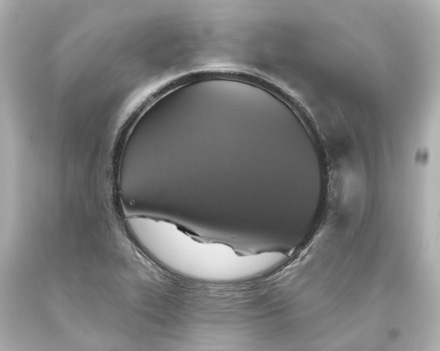 X0000093621319200710291218