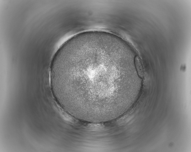 X0000093621320200710291218