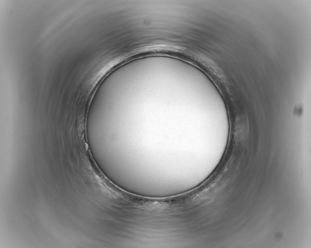 X0000093621321200710291218