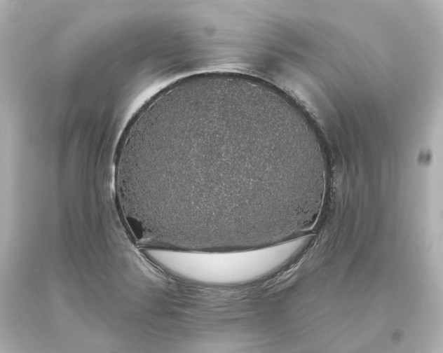 X0000093621324200710291218