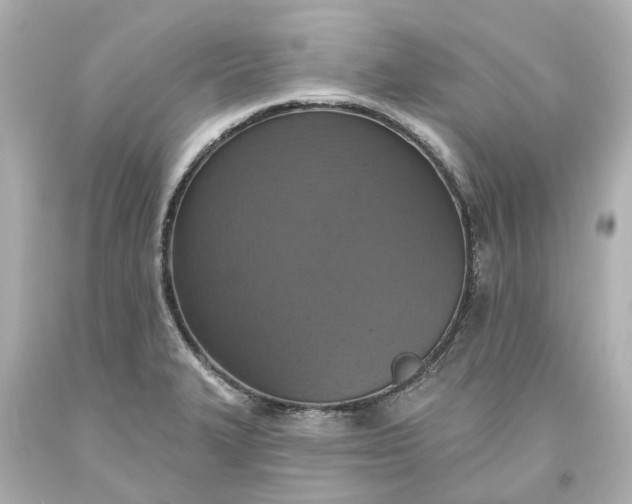 X0000093621327200710291218