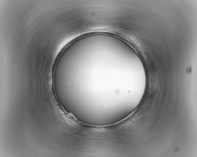 X0000093621328200710291218