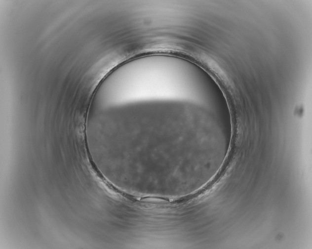 X0000093621329200710291218