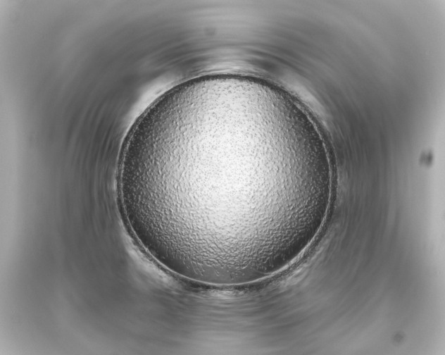 X0000093621330200710291218