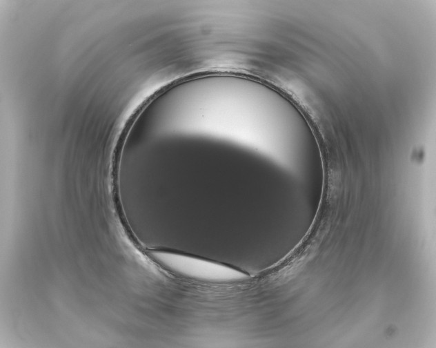 X0000093621331200710291218