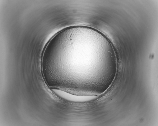 X0000093621332200710291218