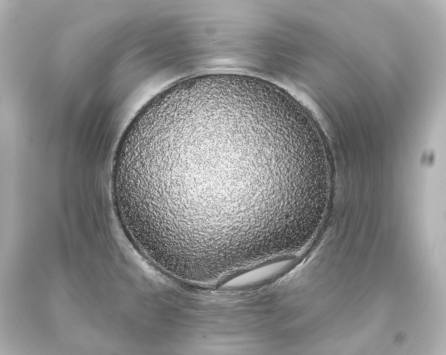 X0000093621333200710291218