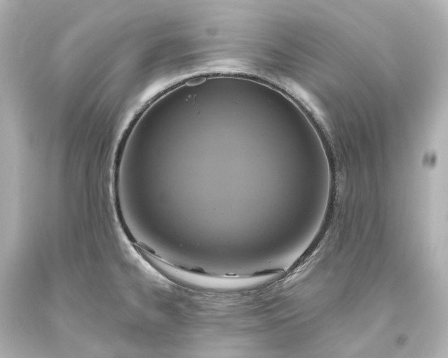 X0000093621334200710291218