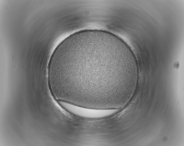 X0000093621335200710291218