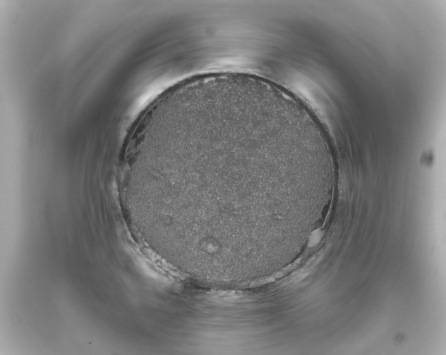 X0000093621336200710291218