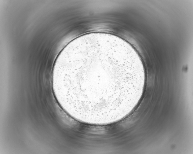 X0000093621338200710291218