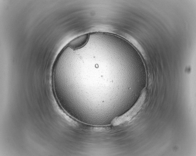 X0000093621339200710291218