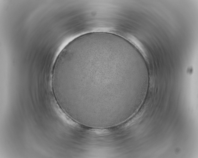 X0000093621340200710291218