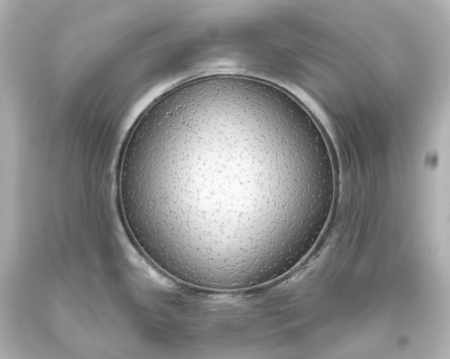 X0000093621341200710291218