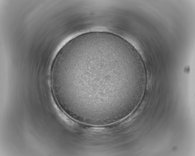 X0000093621342200710291218