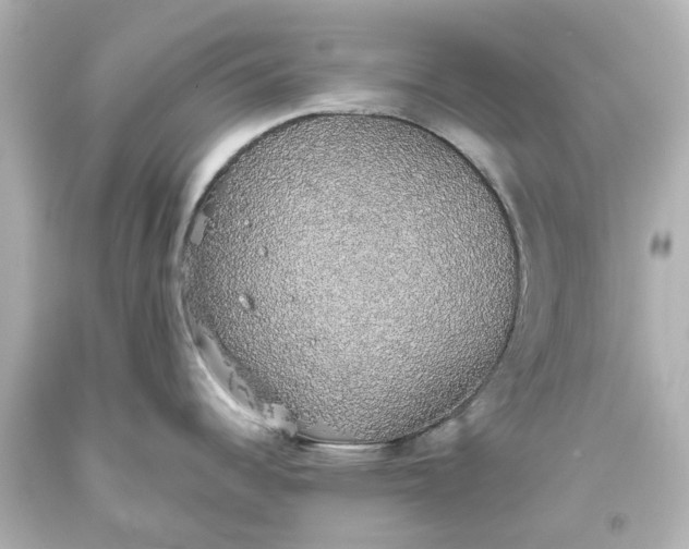 X0000093621344200710291218