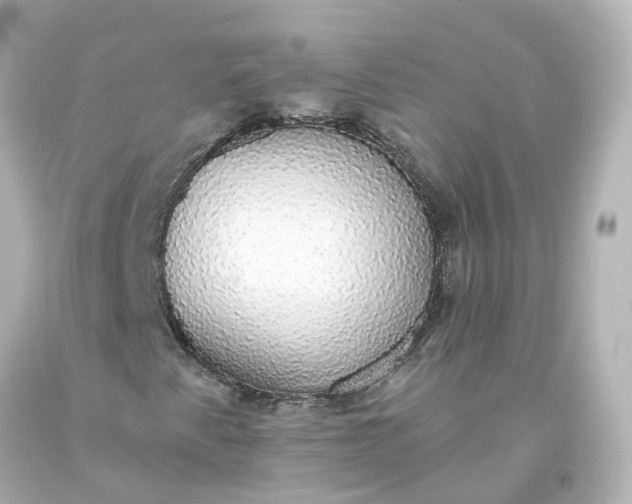 X0000093621345200710291217