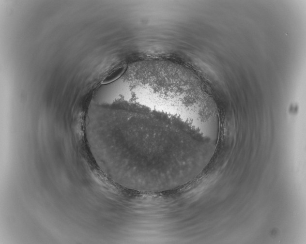 X0000093621346200710291217
