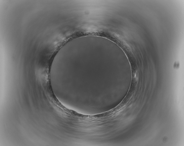 X0000093621348200710291217