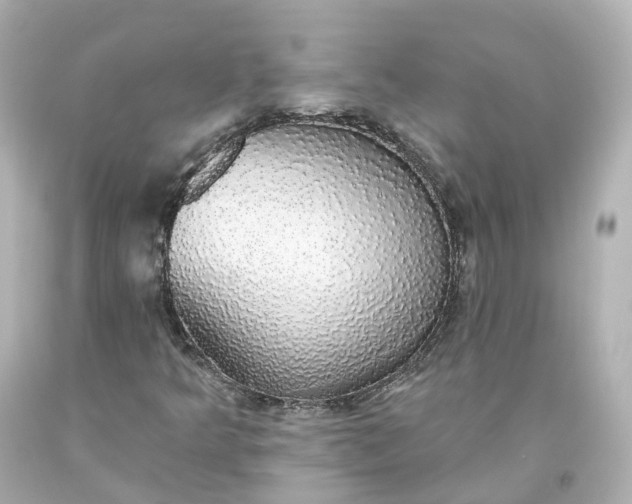 X0000093621349200710291217