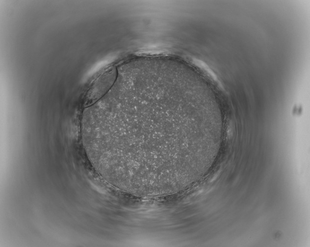 X0000093621350200710291217
