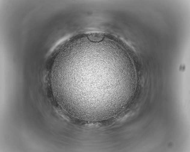 X0000093621351200710291217