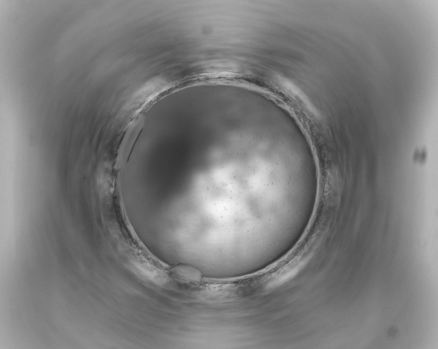 X0000093621353200710291217