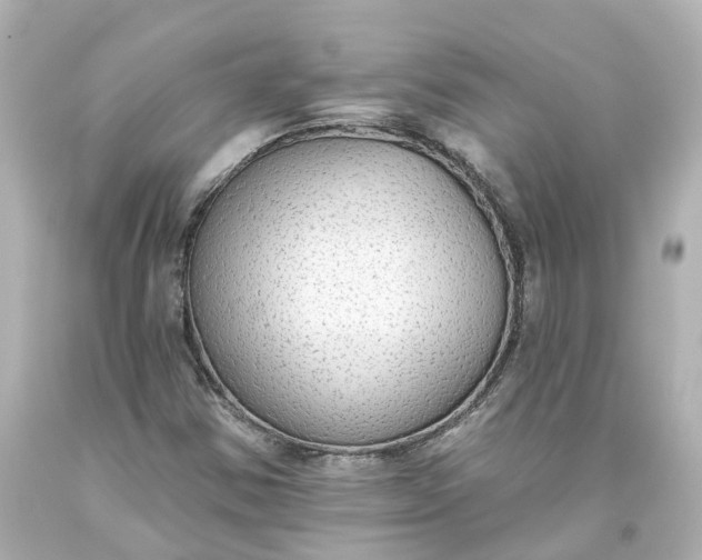 X0000093621354200710291217