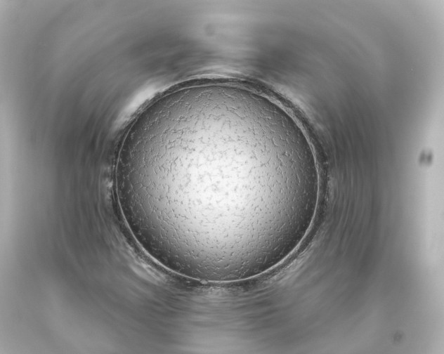 X0000093621355200710291217