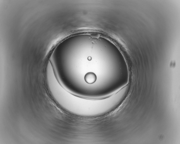 X0000093621357200710291217