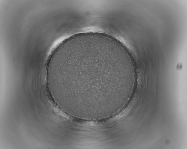 X0000093621358200710291217