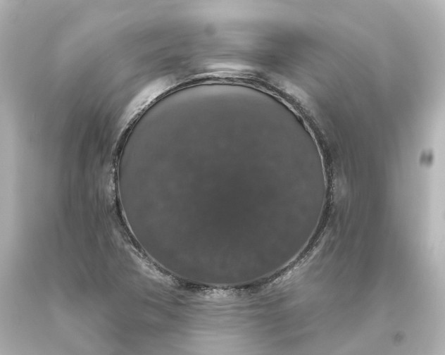 X0000093621362200710291217