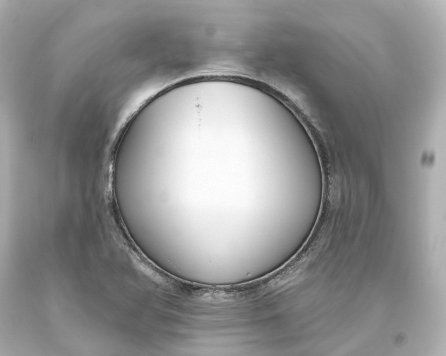 X0000093621366200710291217