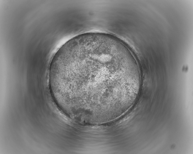 X0000093621367200710291217