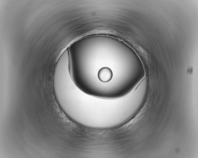 X0000093621369200710291217