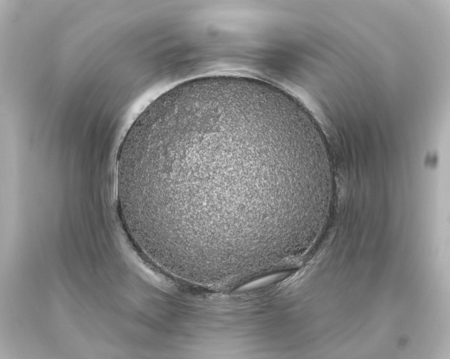 X0000093621371200710291217