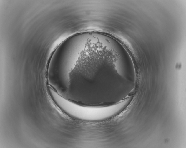 X0000093621373200710291217