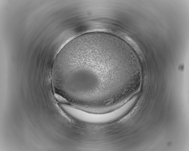 X0000093621377200710291217