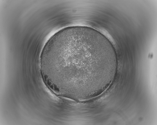 X0000093621380200710291217