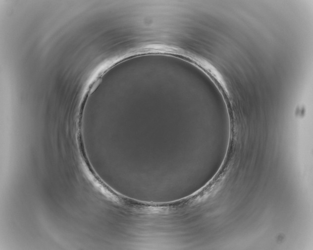 X0000093621381200710291217