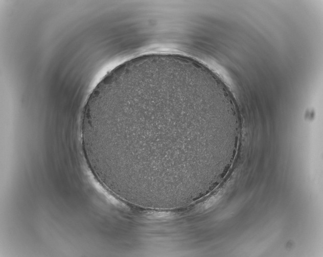 X0000093621382200710291217